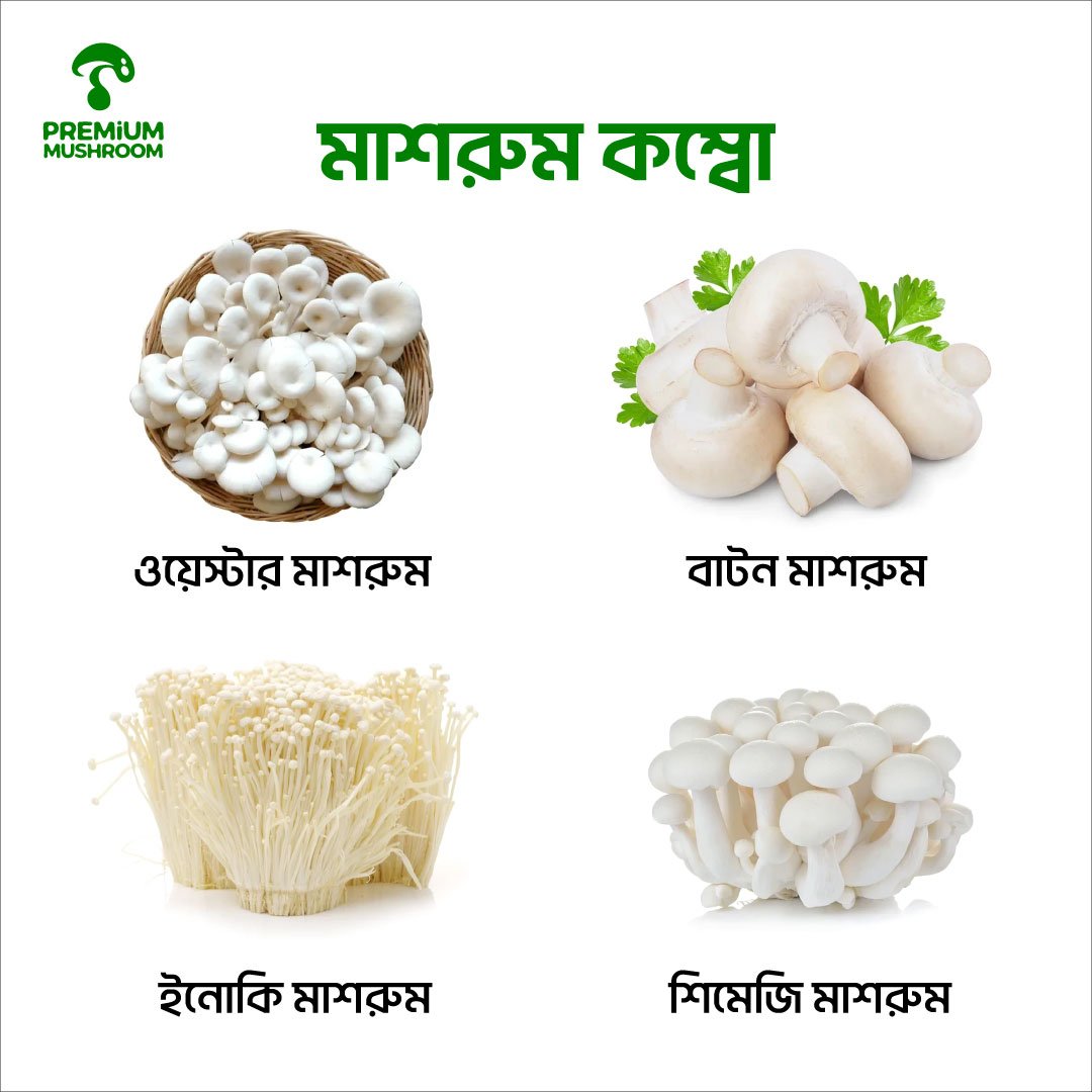 Mushroom Combo 1.05 Kg