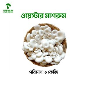 Oyster Mushroom 1 Kg